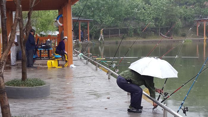 郴州电业局钓鱼大赛在金银山庄隆重开钓